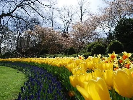 Maisonette De Proper Katwijk *
