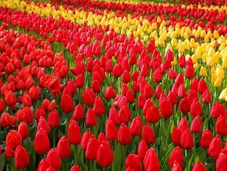 Maisonette De Proper Katwijk Daire *