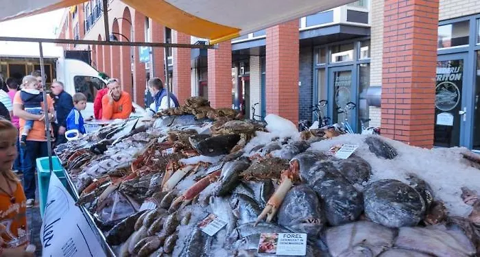 Maisonette De Proper Katwijk *