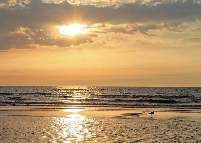 Maisonette De Proper Katwijk * Katwijk aan Zee
